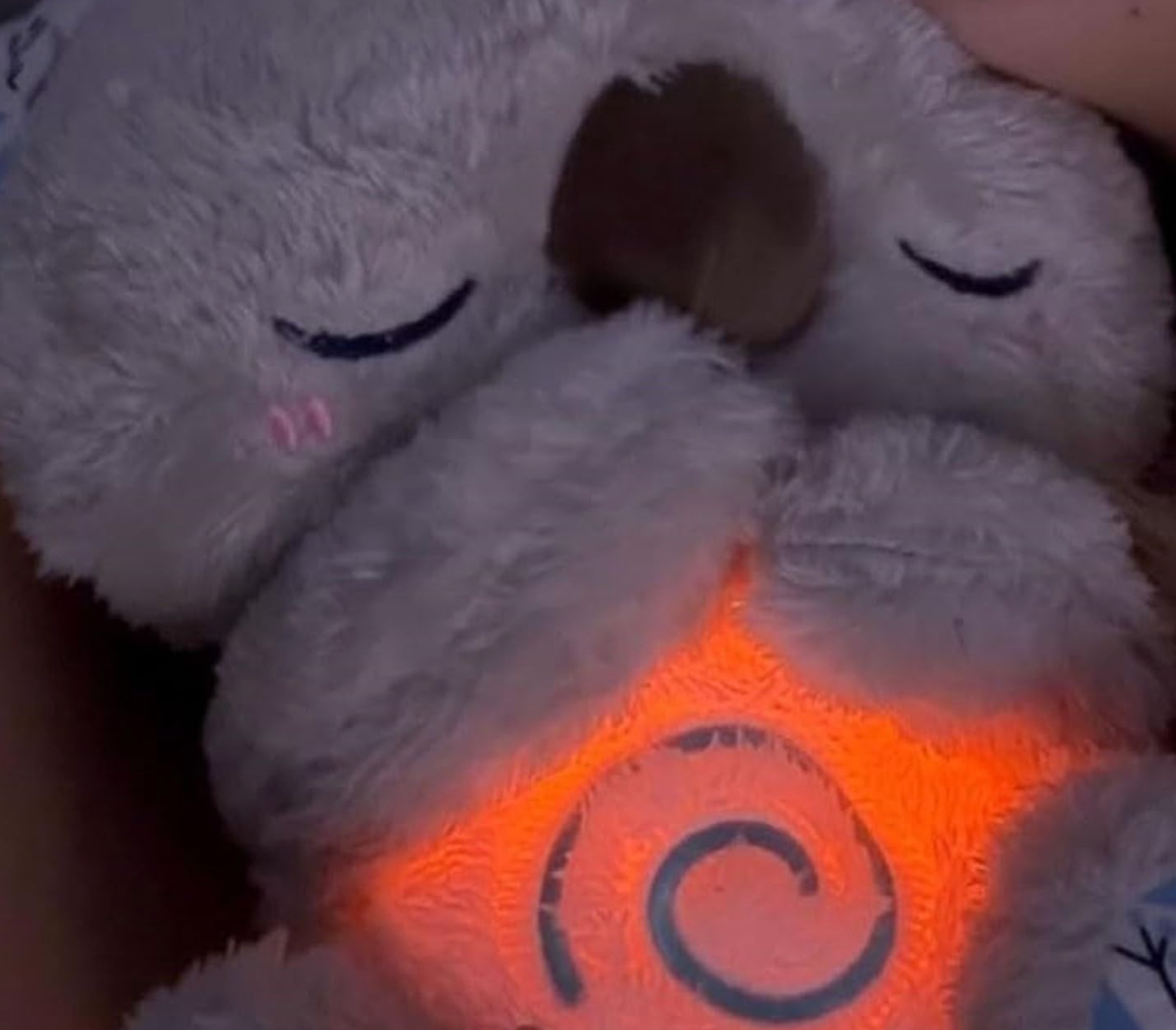 Koala Peluche Para la Ansiedad