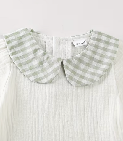 Conjunto Apido