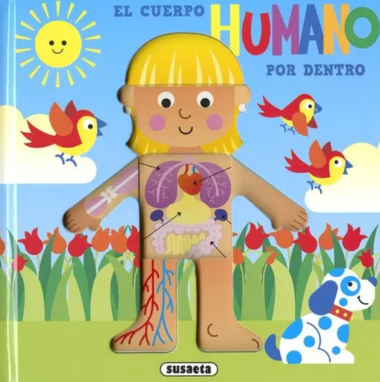 Cuento Pasta Dura Cuerpo Humano CHIKY MARKET