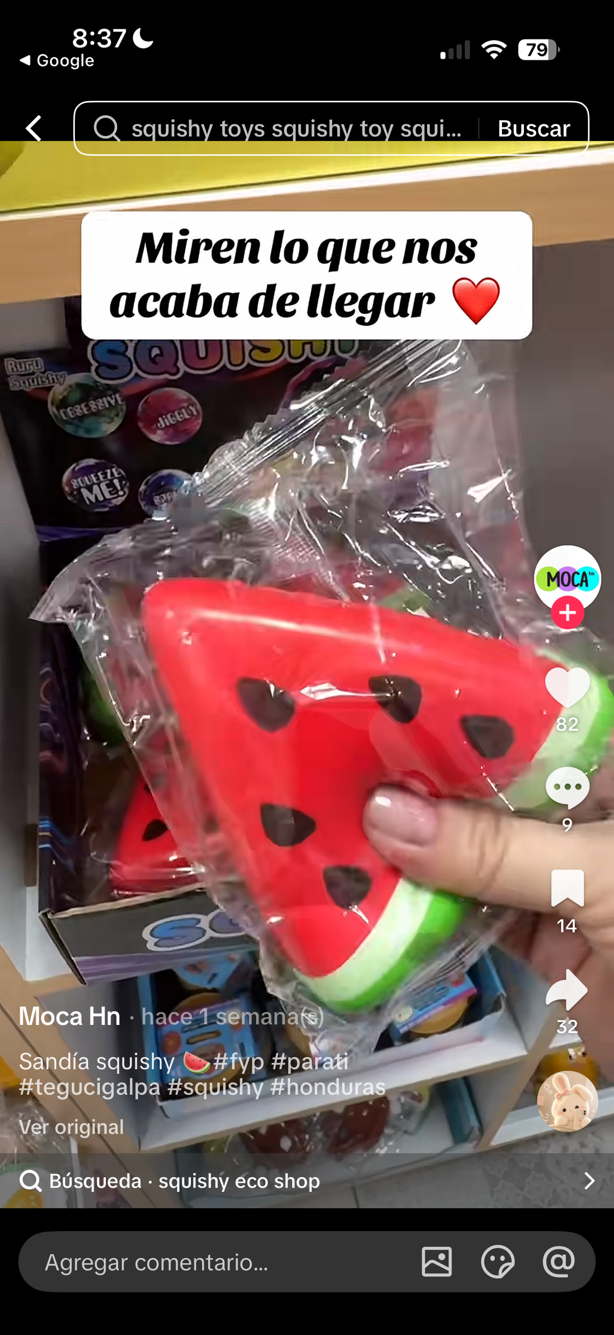 Sandía Squishy