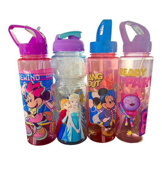 Botella de Agua Frozen Anna y Elsa