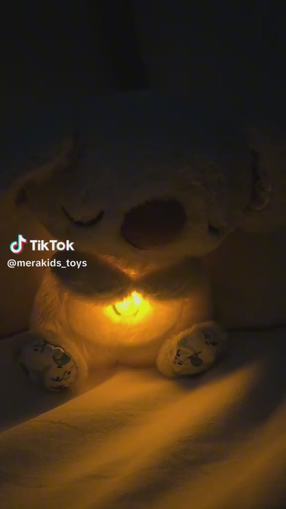 Koala Peluche Para la Ansiedad